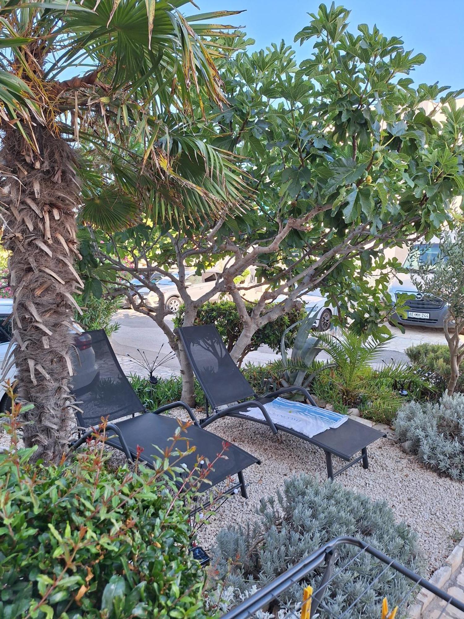 Apartmani Marijanovic Vir Exterior photo